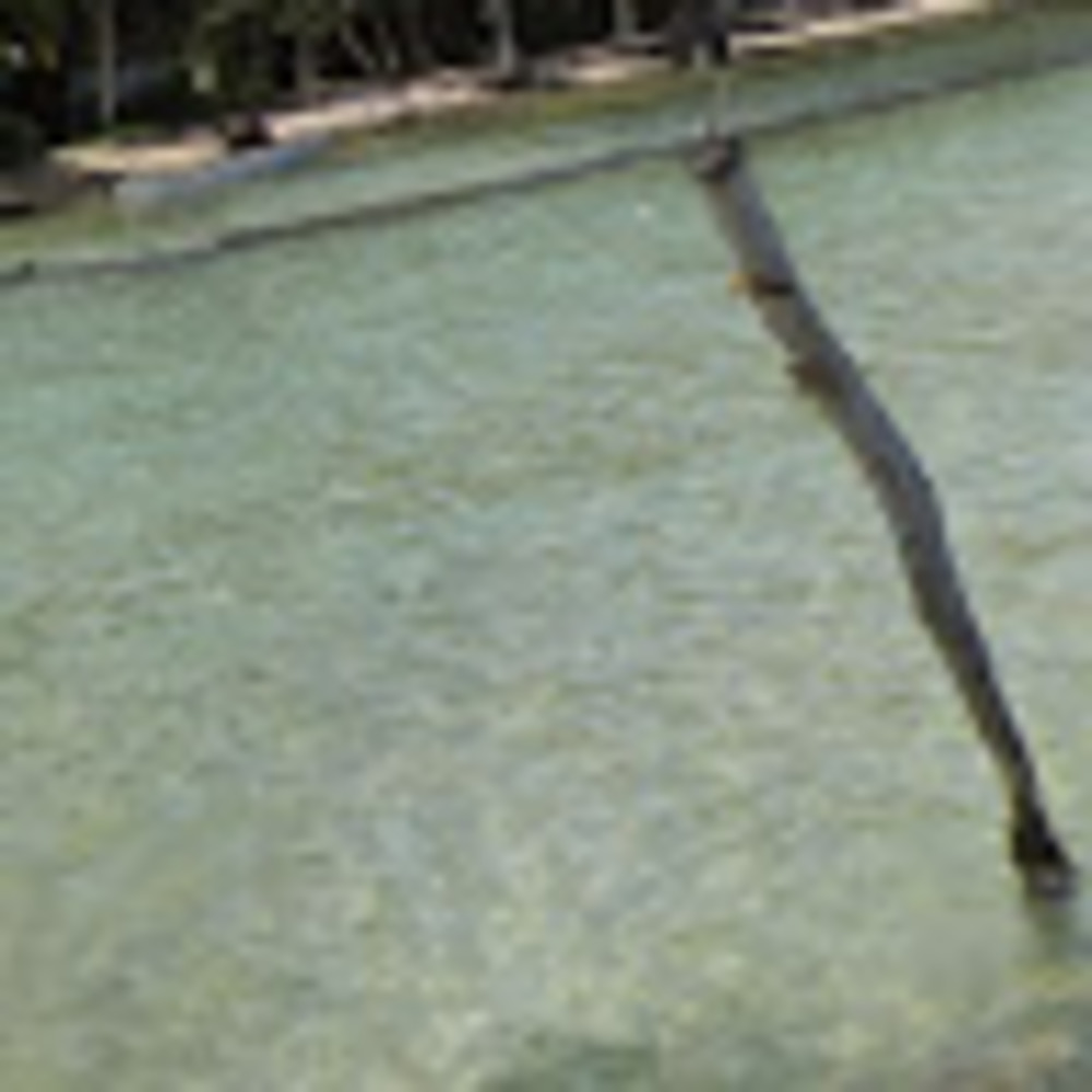 Meet your Posher, Shi